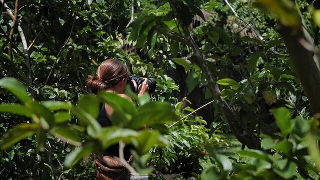 Woman photographing at the middle of the rainforest in Kauai, Hawaii. Mid angle, parallax movement, slow motion, HD.