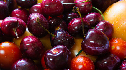 The sweet and delicious cherries are washed and coverd with drops of water fresh edible cherry
