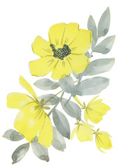 A bouquet of yellow flowers. Hand-drawn. Suitable for printing on textiles, paper, ceramics. Great for packaging design, poster, greeting card, invitation.