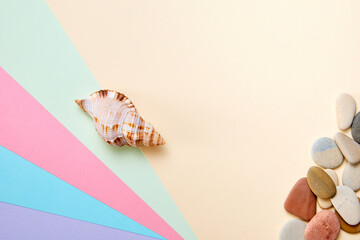 Exotic sea shell and sea pebbles on minimal colorful background with copy space