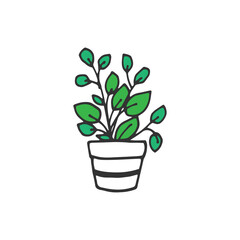 potted plant illustration on white background. houseplant icon. hand drawn vector. decorative plant. green leaf with white pot. doodle art for logo, label, sticker, clipart, poster, banner, advert. 