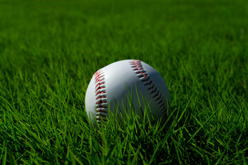 Baseball ball on the lawn.  芝生の上の野球ボール