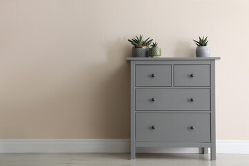 Grey chest of drawers with houseplants near beige wall. Space for text