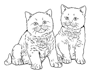 Cute kittens for coloring. Template for a coloring book with little cats.