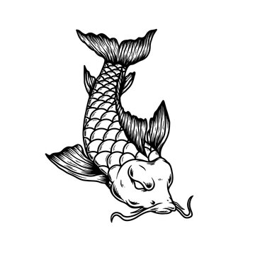 Illustration of carp koi. Design element for poster, card, banner, menu. Vector illustration