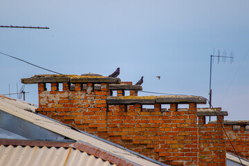 antennas on the house