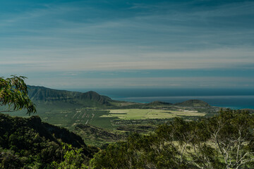 Waianae Range , Mount Kaala Trail , Oahu, Hawaii