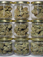 Cannabis drying and curing. Marijuana buds in glass jars. Eco container. Hemp growing concept.