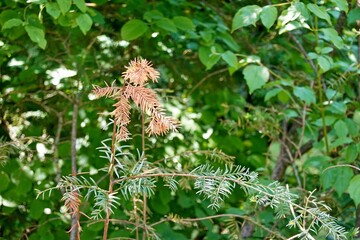 Leben und Tod nebeneinander