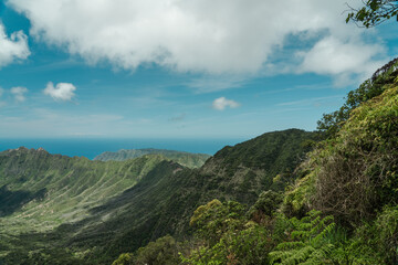 Fototapeta na wymiar Waianae Range , Mount Kaala Trail , Oahu, Hawaii