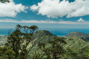 Fototapeta na wymiar Waianae Range , Mount Kaala Trail , Oahu, Hawaii. Kaʻala or Mount Kaʻala is the highest mountain on the island of Oahu, It is a part of the Waianae Range,