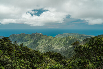 Waianae Range , Mount Kaala Trail , Oahu, Hawaii. Kaʻala or Mount Kaʻala is the highest mountain on the island of Oahu, It is a part of the Waianae Range - 440235385
