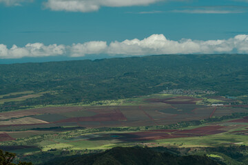 Fototapeta premium Kaʻala or Mount Kaʻala is the highest mountain on the island of Oahu. an eroded shield volcano. Waianae Range , Mount Kaala Trail , Oahu, Hawaii