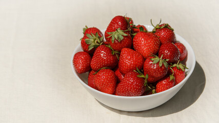 White bowl of fresh ripe strawberries. Local organic strawberries grown without usage of chemical fertilizers and pesticides. Hard shadow. Organic food and clean eating concept.