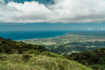 Fototapeta na wymiar Kaʻala or Mount Kaʻala is the highest mountain on the island of Oahu. an eroded shield volcano. Waianae Range , Mount Kaala Trail , Oahu, Hawaii