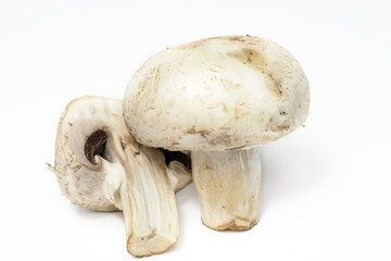 Agaricus bisporus (Chompignon ) mushrooms isolated on a white background