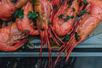 cooked spot prawns with olive oil and parsley 