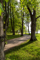 Quiet and lush Hatanpää arboretum public park in Tampere, Finland, on a sunny day in the summer.