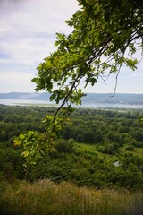 landscape with trees and mountains