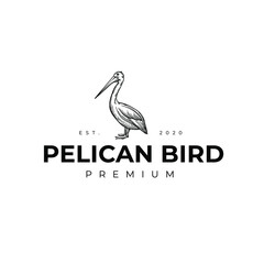 Animal Pelican Gulf Bird Coast Beach Logo Vector Illustration Template Icon 