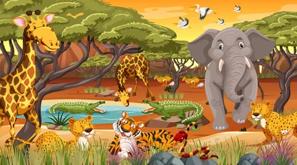  Wild animals in the jungle © blueringmedia