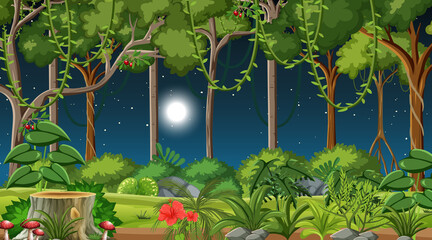 Forest at night landscape scene