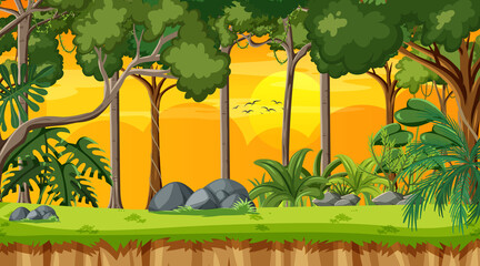 Fototapeta premium Forest landscape scene at sunset time with many different trees
