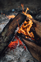 close up of flames in campfire pit, summer camping fire 