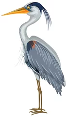 Foto op Plexiglas Great Blue Heron in cartoon style on white background © blueringmedia