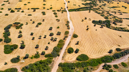 Akamas Peninsula from Paphos, Cyprus, aerial view of sea coastline, wild beach, yellow landscape,...