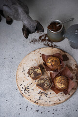 Soft and moist chocolate banana muffins with dark chocolate drops on grey rustic table. Homemade baked twisted cupcakes. Natural light, selective focus, copy space