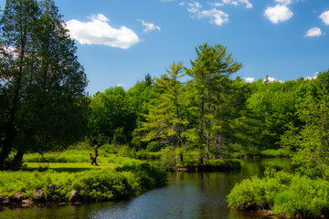 Beautiful  and wild river in the province of Quebec, Canada