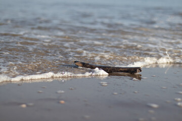 A wooden stick on a Dutch beach being hit by waves of the ocean (Kijkduin, The Hague, The Netherlands)