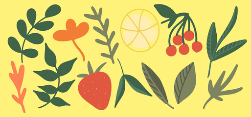Collection of tea herbs, a set of medicinal herbs, fruit and berry additives for tea, grass, twigs, green tea leaves, lemon, rowan, strawberry, yellow background, bright illustration, hand drawing
