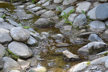 Mountain river in the forest with beautiful stones
