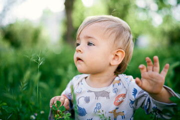 Cute baby in the tall grass. Portrait