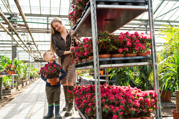 Fototapeta na wymiar Little boy with a flower in a pot and his mom, a florist who pulls a cart with flowers in a greenhouse
