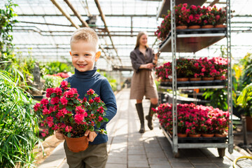 Boy with a potted plant and his mom with a cart with flowers in a greenhouse from behind