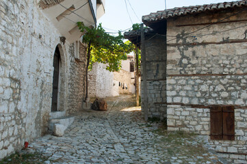 Fototapeta na wymiar Ancient Stone Houses. Berat, Albania