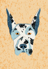 A bitmap illustration of a dog's face. Great Dane of marble color. Print using a texture.