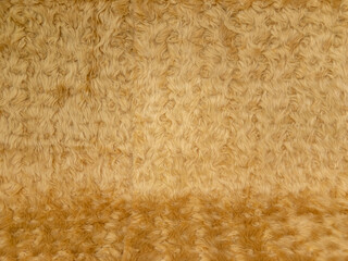 Gold animal wool texture background. Close-up texture of plush fluffy fur rug for product backdrop, straight view