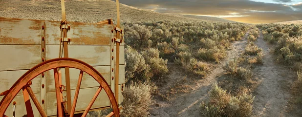 Deurstickers Pioneer wagon on the Oregon trail , USA © Tony Craddock