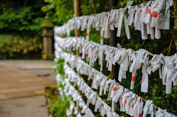 結ばれたおみくじ