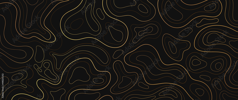 Wall mural luxury gold abstract line art background vector. mountain topographic map background with golden lin