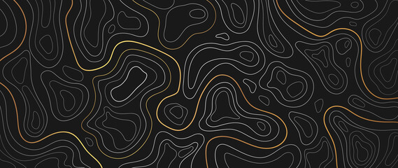 Luxury gold abstract line art background vector.  Mountain topographic map background with golden lines  texture, 17:9 wallpaper design for wall arts, fabric , packaging , web, banner, app, wallpaper. - obrazy, fototapety, plakaty