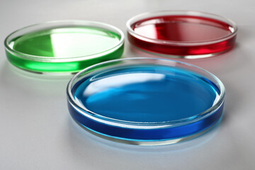 Petri dishes with colorful liquids on white background, closeup