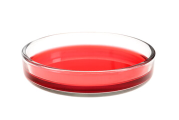 Petri dish with red liquid isolated on white
