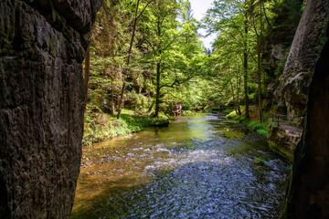 Wild gorge in the Bohemian Switzerland National Park.