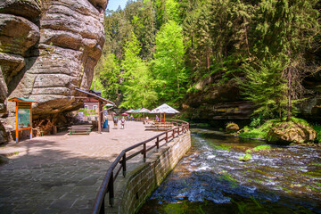 Wild gorge in the Bohemian Switzerland National Park.