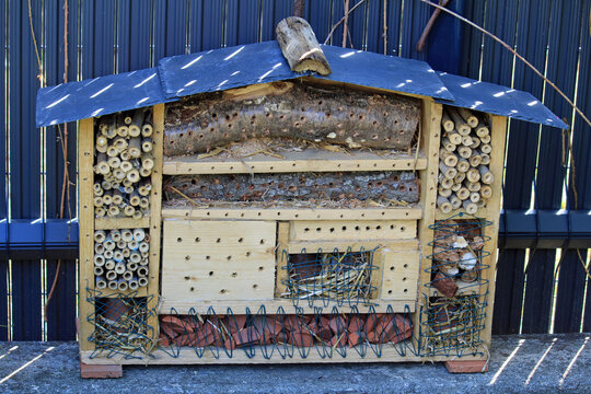 H&ocirc;tel &agrave; insectes